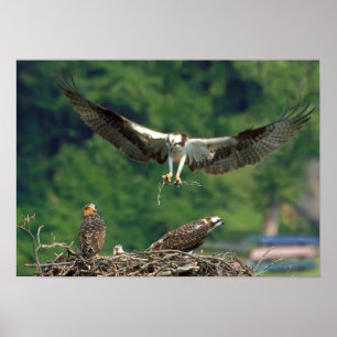 Löschen Sie die Piste. Poster