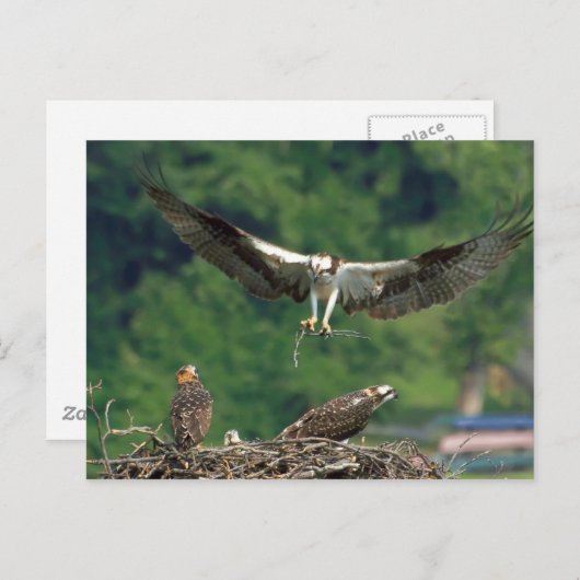 Löschen Sie die Piste. Postkarte (Vorne/Hinten)