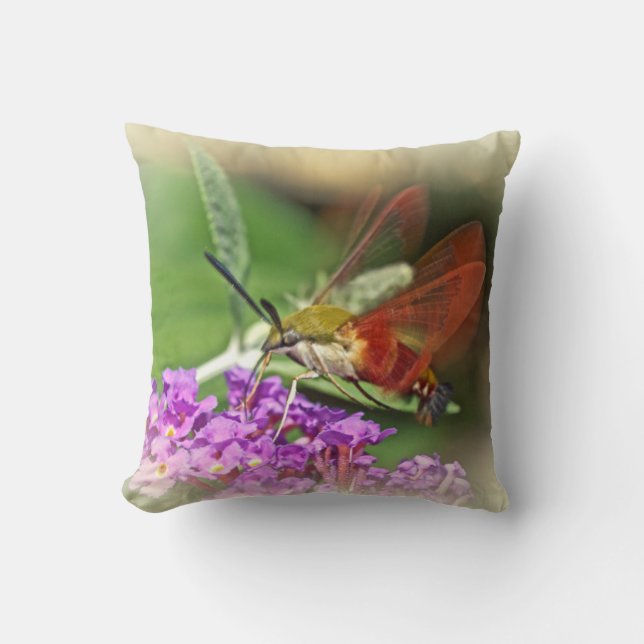 Löschen von Hummingbird Hawk Moth Kissen (Vorderseite)