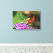 Löschen von Hummingbird Hawk Moth Leinwanddruck (Insitu (Holzboden))