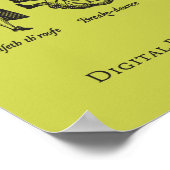 Lose, 1603-1625 poster (Ecke)