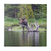 Lose Elche Fliese (Vorderseite)