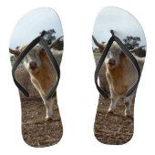 Lose Rinder: Höhere Weizenhöhe der Kühe Badesandalen (Fußbett)