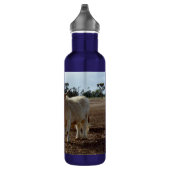 Lose Rinder: Höhere Weizenhöhe der Kühe Edelstahlflasche (Rechts)
