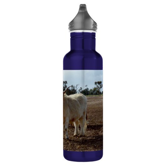 Lose Rinder: Höhere Weizenhöhe der Kühe Edelstahlflasche (Rechts)