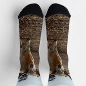 Lose Rinder: Höhere Weizenhöhe der Kühe Socken (Oben)