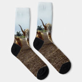Lose Rinder: Höhere Weizenhöhe der Kühe Socken (Rechts)