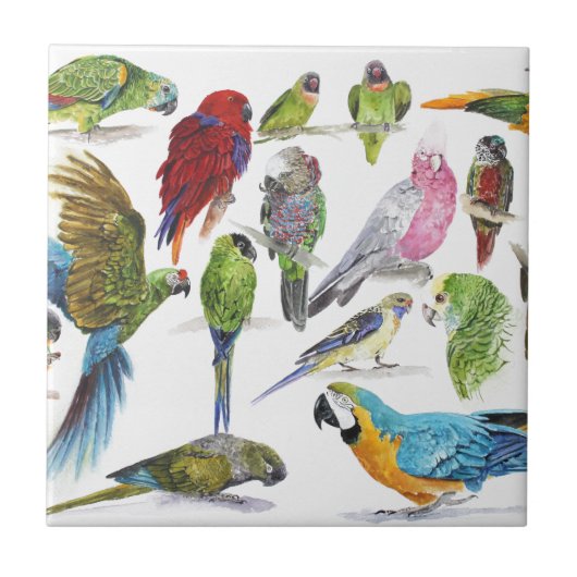 Lose und Lose Papageien auf Losen und Lose Fliese (Vorderseite)
