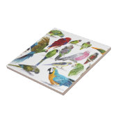 Lose und Lose Papageien auf Losen und Lose Fliese (Seite)