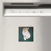 Loser Katzenmagnet Magnet (In Situ (Geschirrspüler))