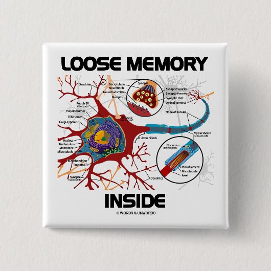 Loses Gedächtnis-Innere (Neuron/Synapse) Button (Vorderseite)