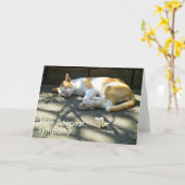Loss Cat Sympathy Card Karte (Gelbe Blume)