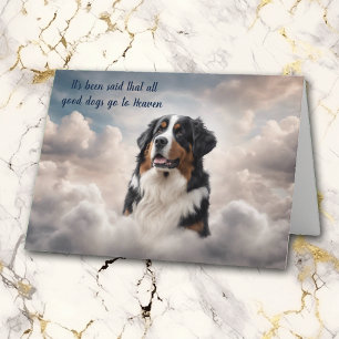 Loss des Berner Hundehund Himmel Sympathie Karte