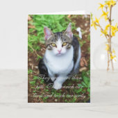 Loss of Cat Karte (Gelbe Blume)