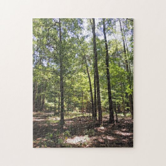 Lost Acres Jigsaw Puzzle (Vertikal)