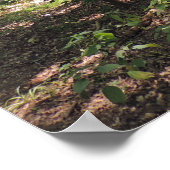 Lost Acres Print Poster (Ecke)