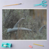 Lost Antlers Seidenpapier (Basteln)