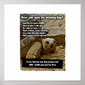 Lost Doby Poster (Vorne)