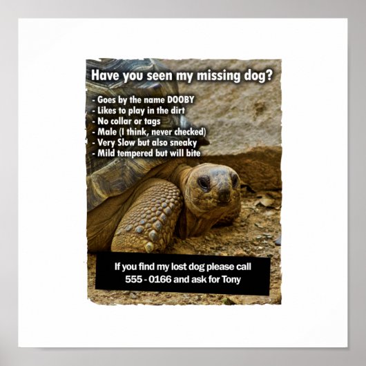 Lost Doby Poster (Vorne)