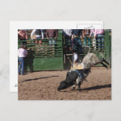 Lost Dutchman Bull Riding Postkarte (Vorne/Hinten)