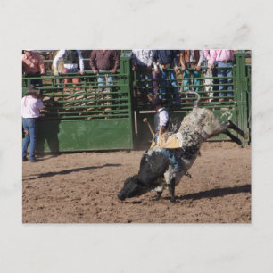 Lost Dutchman Bull Riding Postkarte