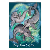 Lost Echos Baiji River Dolphin (Vorne)