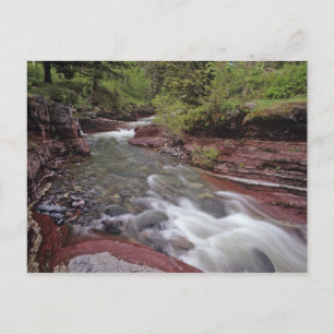 Lost Horse Creek im Waterton-Lakes-Nationalpark Postkarte