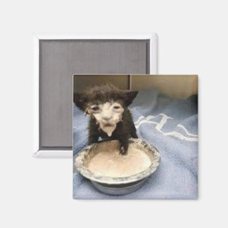 Lost in the sauce Meme Magnet