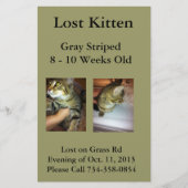Lost Kitten Flyer (Vorne)
