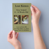 Lost Kitten Flyer (Handgriff)