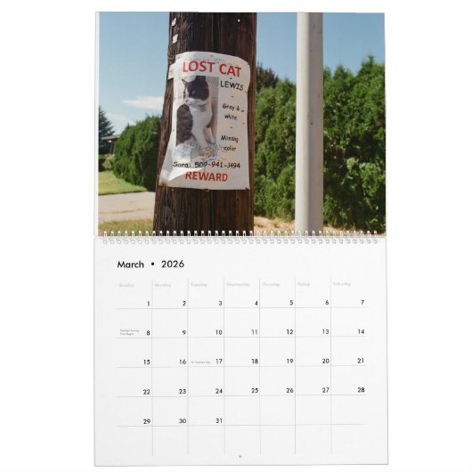 Lost Lewis Calendar Kalender (Mär 2026)