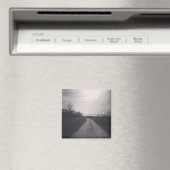Lost Magnet (In Situ (Geschirrspüler))