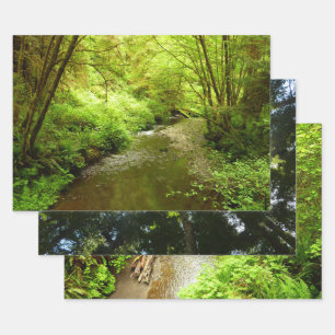 Lost Man Creek I im Redwood National Park Geschenkpapier Set