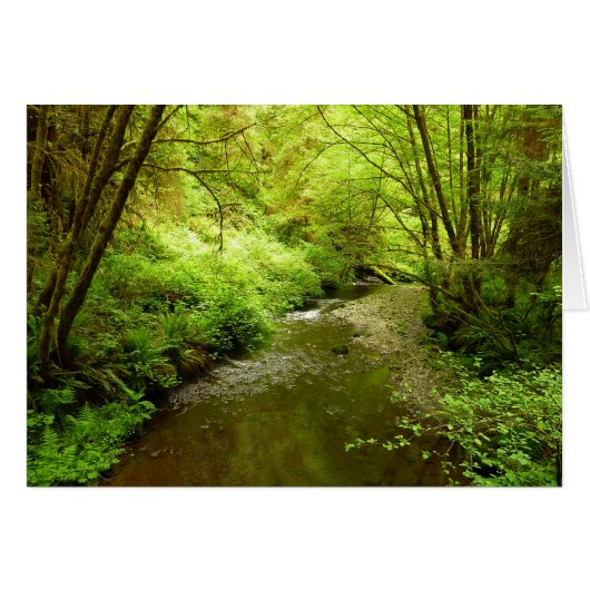 Lost Man Creek I im Redwood Nationalpark (Vorderseite (Horizontal))