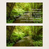 Lost Man Creek I im Redwood Nationalpark (Vorne & Hinten)