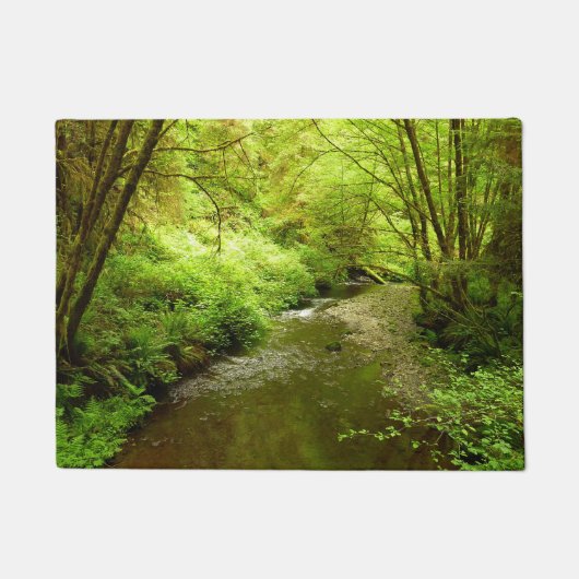 Lost Man Creek I im Redwood Nationalpark Fußmatte (Vorderseite)