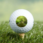 Lost Man Creek I im Redwood Nationalpark Golfball (Insitu T-Shirt)