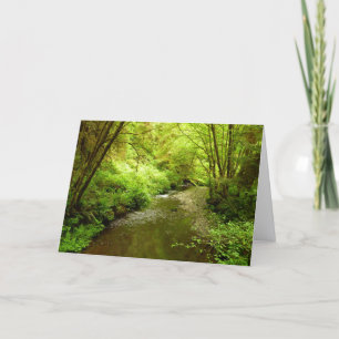 Lost Man Creek I im Redwood-Nationalpark Karte