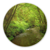 Lost Man Creek I im Redwood Nationalpark Keramikknauf (Vorderseite)