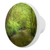 Lost Man Creek I im Redwood Nationalpark Keramikknauf (Rechts)