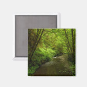 Lost Man Creek I im Redwood Nationalpark Magnet (Vorderseite/Rückseite)