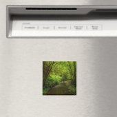 Lost Man Creek I im Redwood Nationalpark Magnet (In Situ (Geschirrspüler))