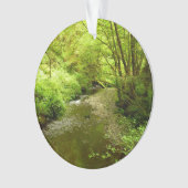 Lost Man Creek I im Redwood Nationalpark Ornament (Vorderseite)