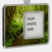 Lost Man Creek I im Redwood Nationalpark Rahmen-Ornament Silber (Rechts)