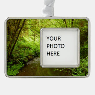 Lost Man Creek I im Redwood Nationalpark Rahmen-Ornament Silber