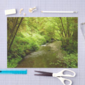 Lost Man Creek I im Redwood Nationalpark Seidenpapier (Handwerk)