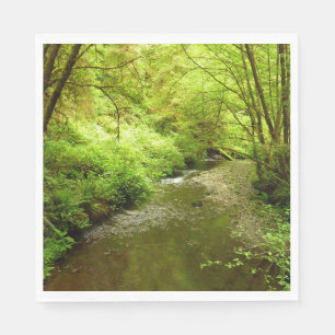 Lost Man Creek I im Redwood Nationalpark Serviette