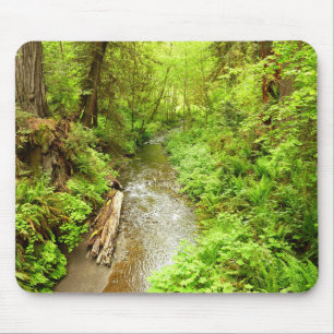 Lost Man Creek II at Redwood National Park Mousepad