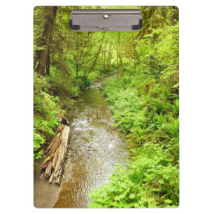 Lost Man Creek II im Redwood National Park Klemmbrett