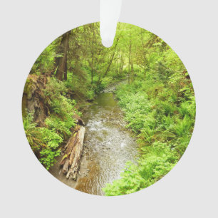 Lost Man Creek II im Redwood National Park Ornament